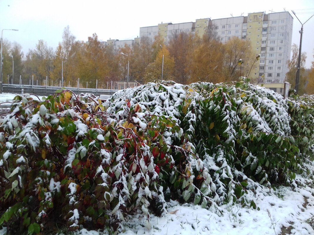 снег выпал - Владимир 