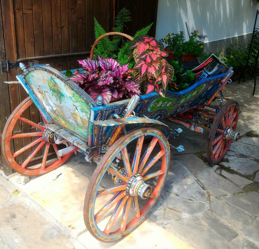 Повозка красоты - Натали 