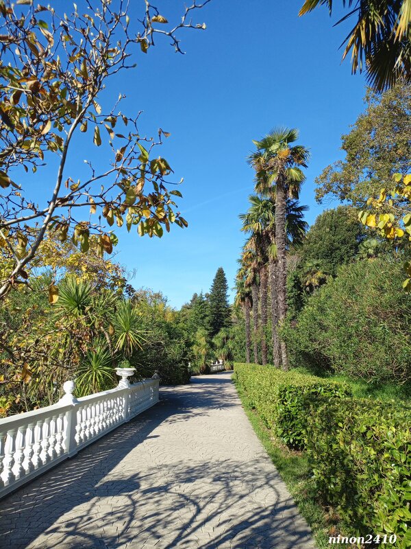 Адлер. Дендропарк "Южные культуры" - Нина Бутко Адлер. Дендропарк "Южные культуры" - Нина Бутко