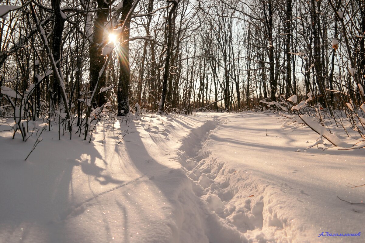 Про солнышко лесное... - Андрей Заломленков Про солнышко лесное... - Андрей Заломленков