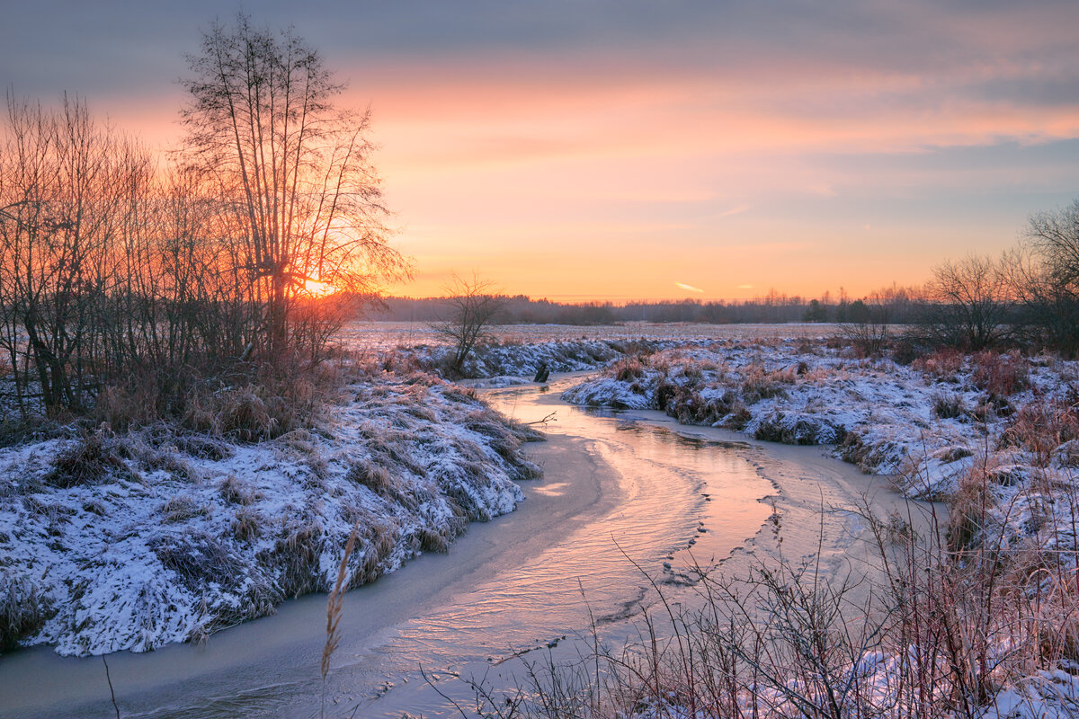 На морозную ночь ... - Roman Lunin