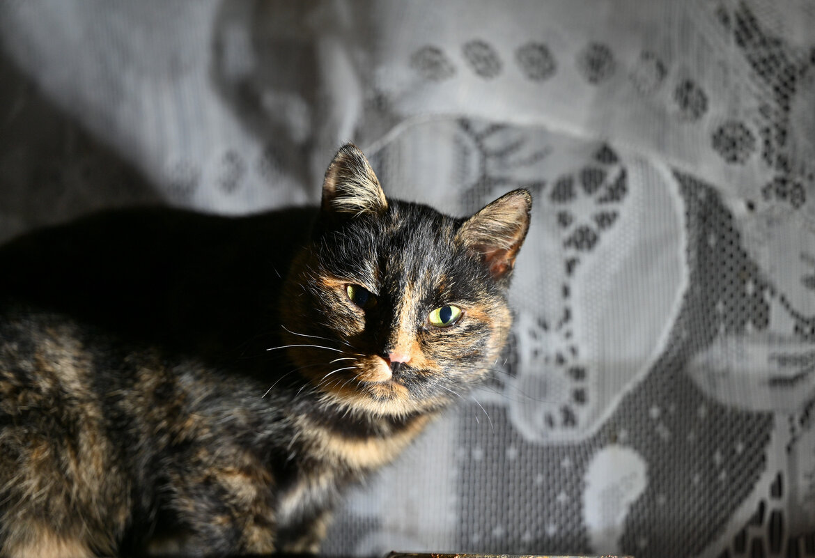 Мамка - Вадим 