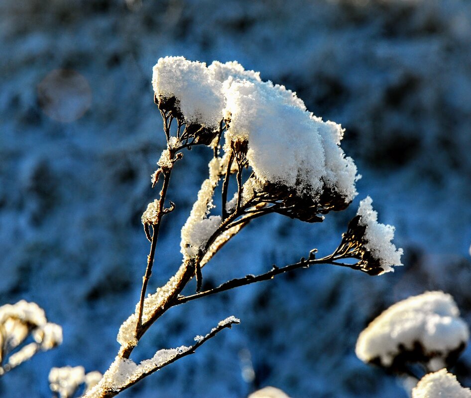 Декабрь. - Владимир 
