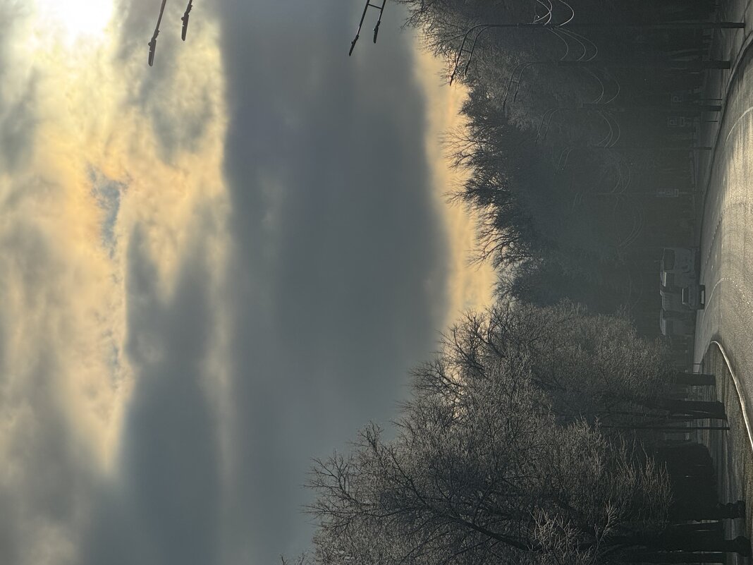 Утро . Декабрь . Теплая зима - Анна Камс Утро . Декабрь . Теплая зима - Анна Камс