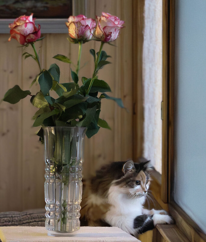 А где гости? - Vlaimir 