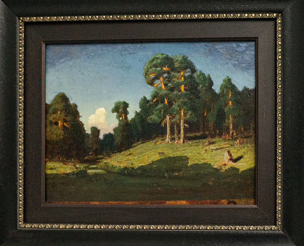 Сосновый лес с речкой - Ирина Соловьёва