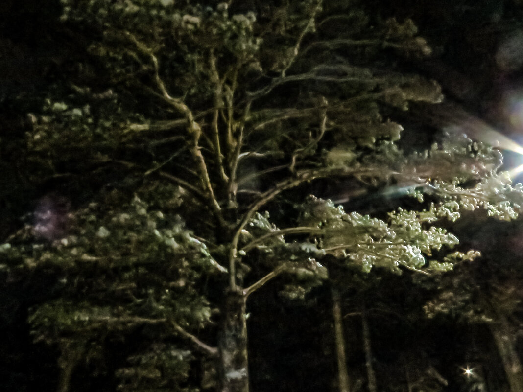 МОЙ ДЕКАБРЬ - HART BAD