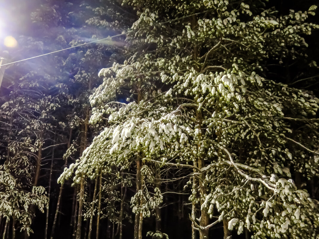 МОЙ ДЕКАБРЬ - HART BAD