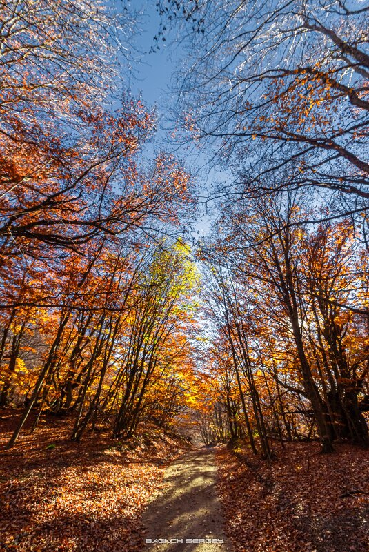 ОСЕНЬ ДЕМЕРДЖИ - Sergey Bagach