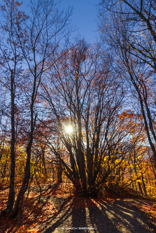 ОСЕНЬ ДЕМЕРДЖИ - Sergey Bagach