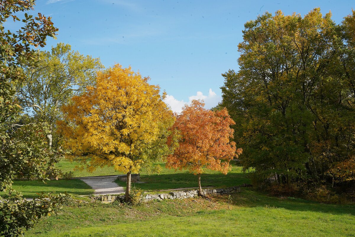 Краски осени - Татьяна Тюменка Краски осени - Татьяна Тюменка