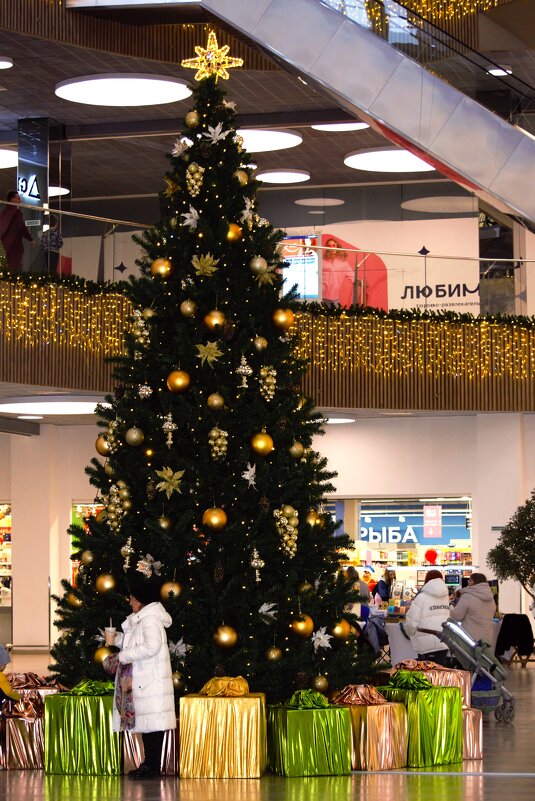Елка в ТРЦ Любимово! - Юрий Полторыхин.