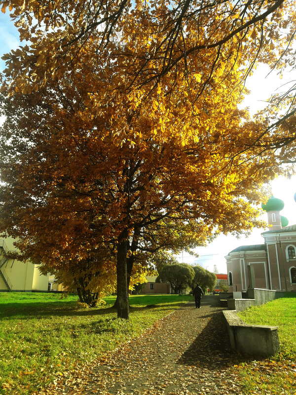Осень - Сергей Кочнев