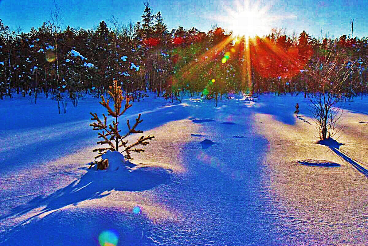 Январь...Морозный закат в тайге! - Владимир 