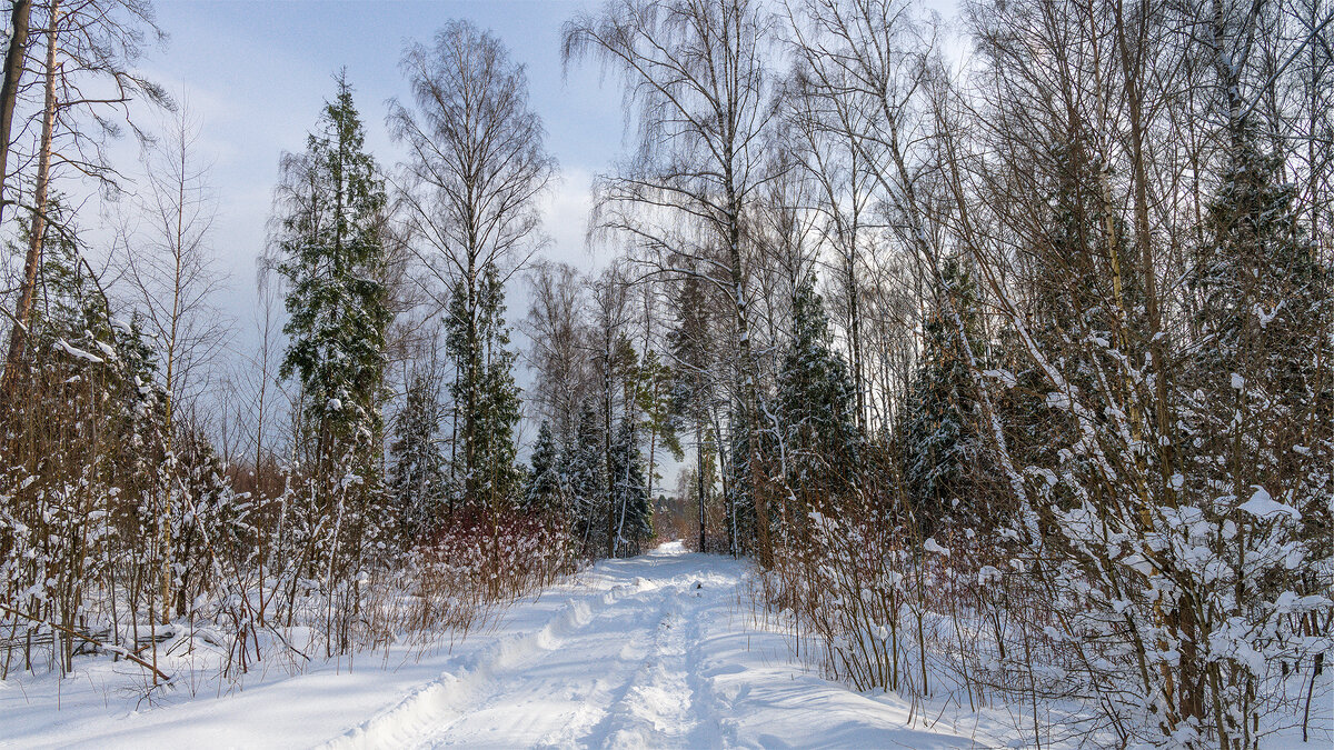 Зимний пейзаж - Владимир Лазарев