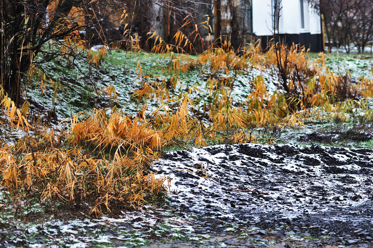 Снежный декабрь - Юрий Гайворонскiий