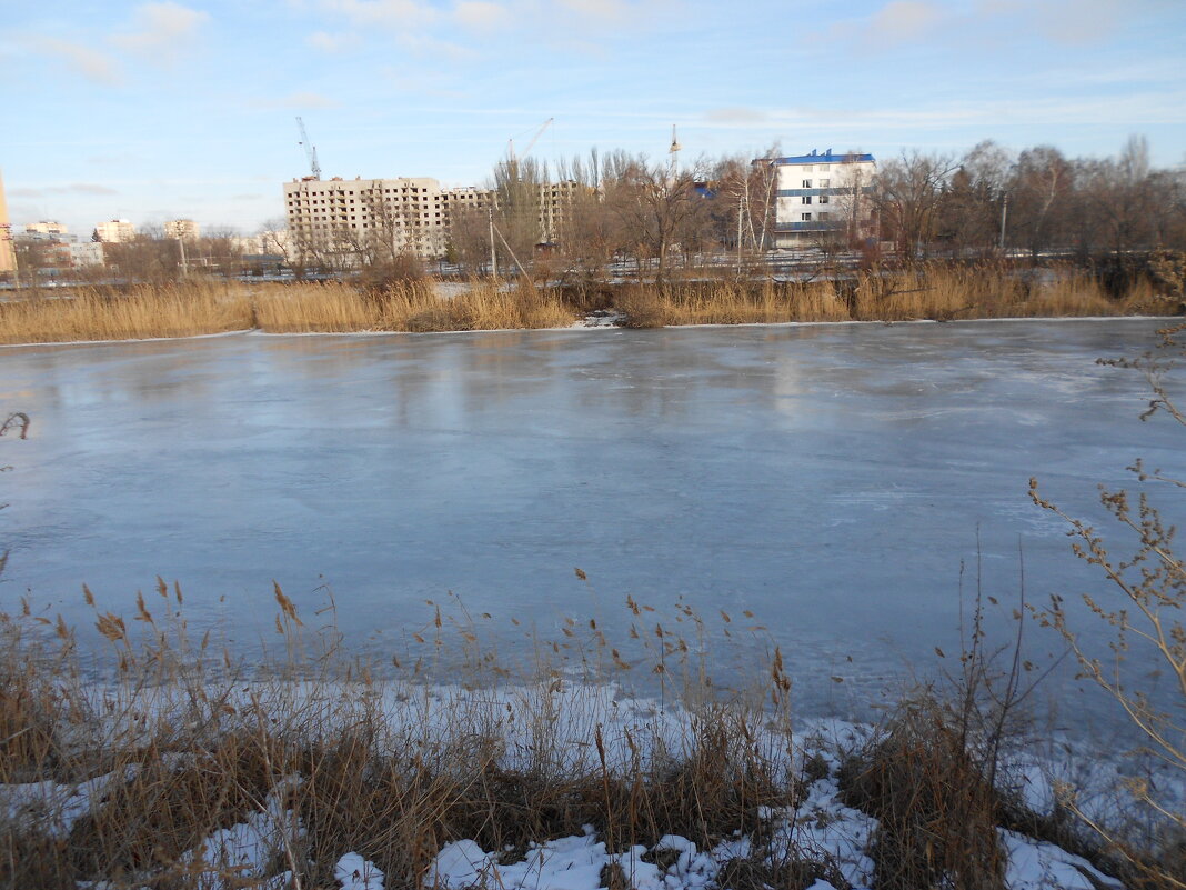 прошлогодний декабрь - Елена Шаламова