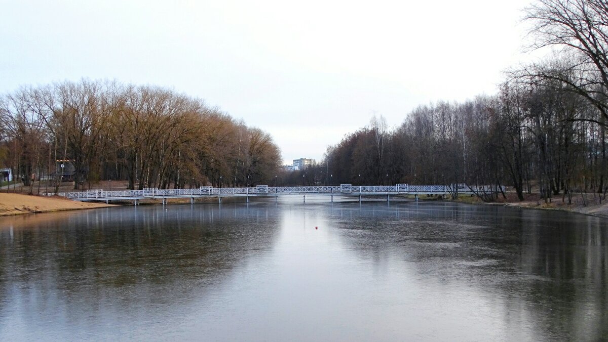 Зима в декабре. - Милешкин Владимир Алексеевич 