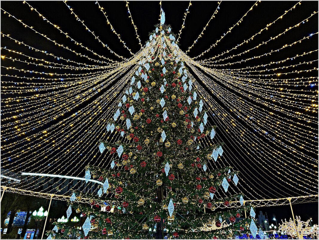 Ёлка. - Валерия Комова