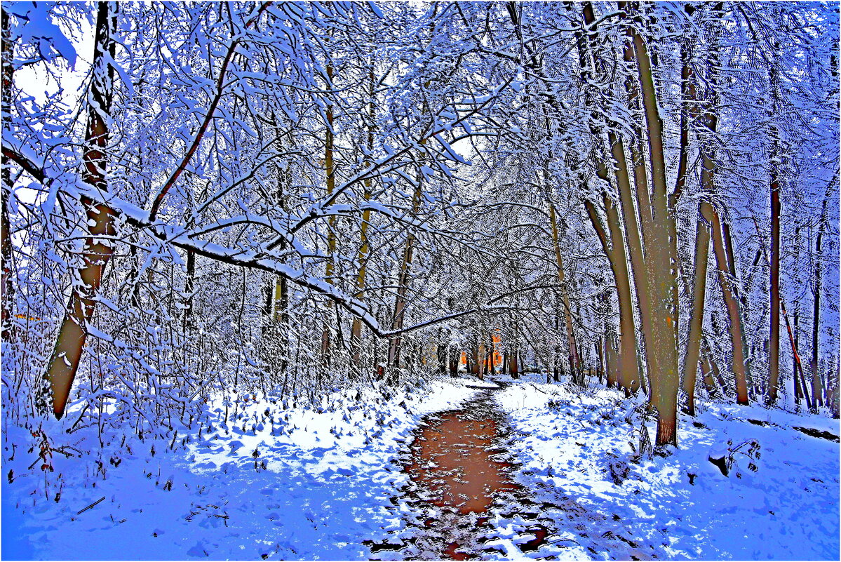 ЗИМА - Юрий Владимирович 34