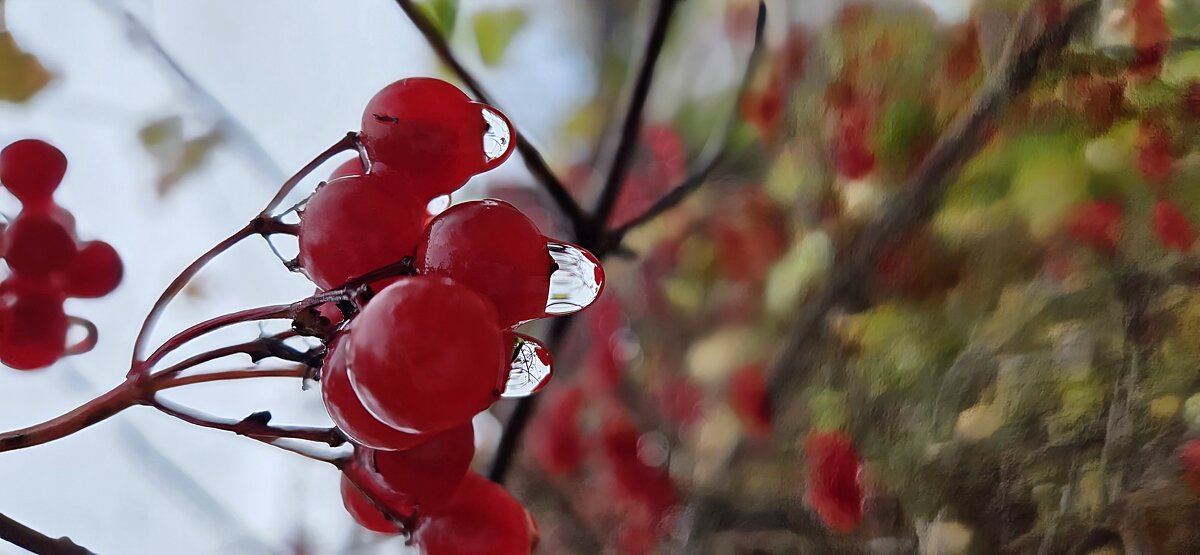 После дождя - Марина 