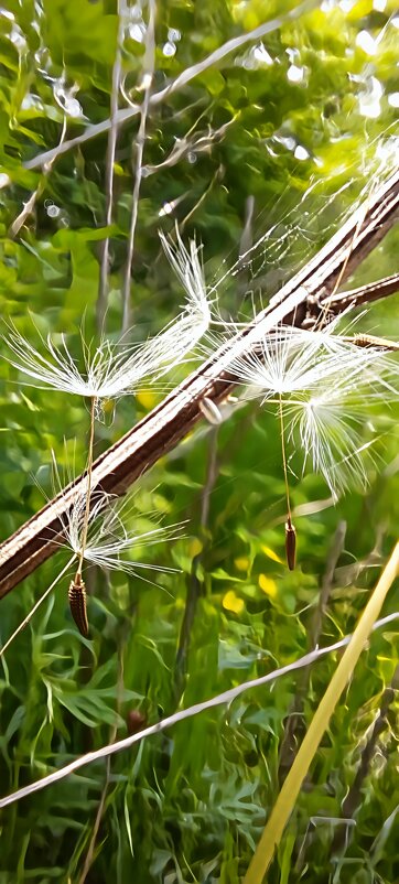 Невесомость - Марина 