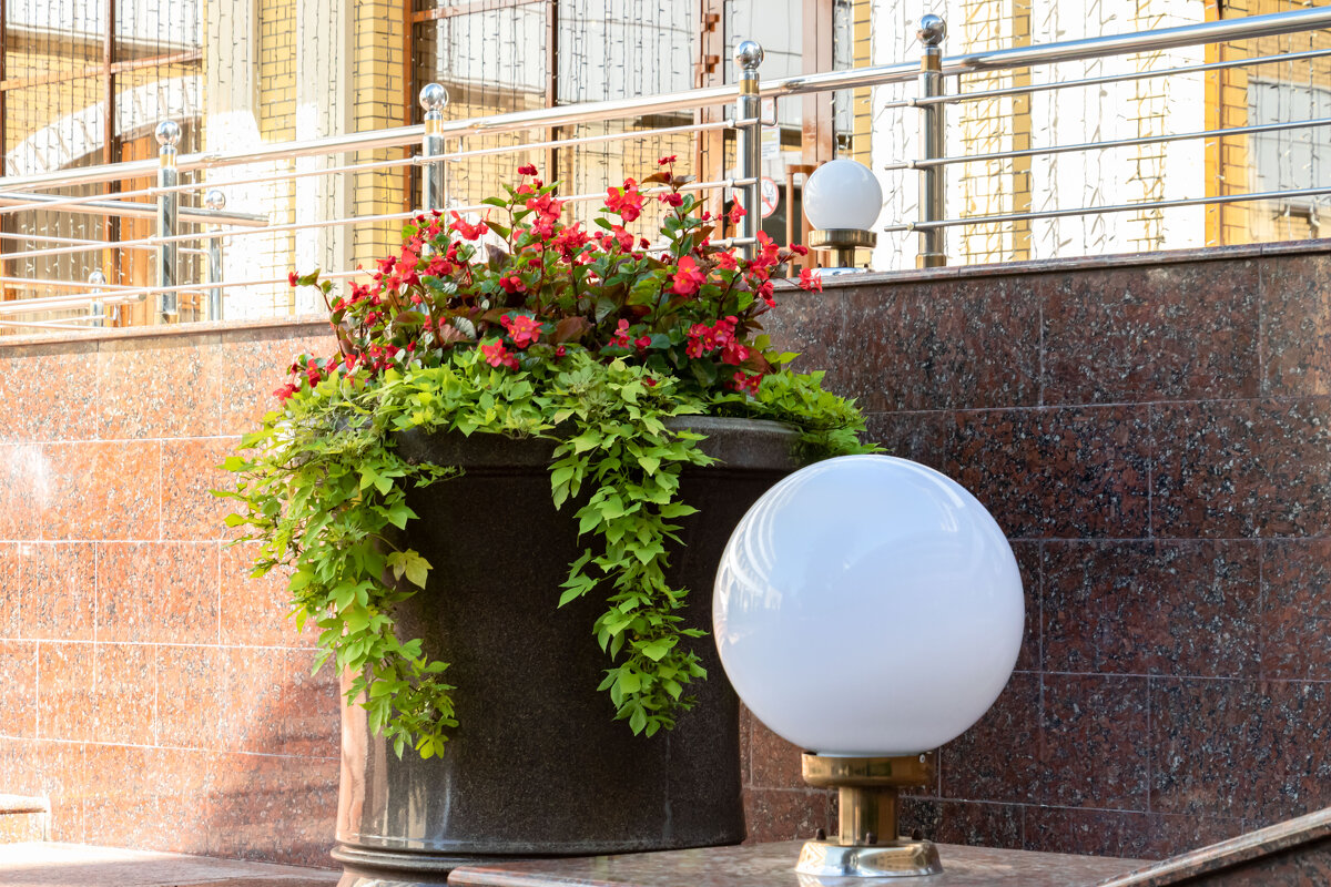 Кисловодск - navalon M