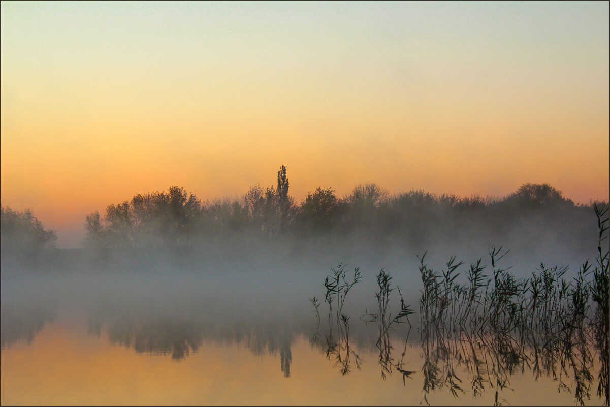 Утро. - Александр. AVG100 ---