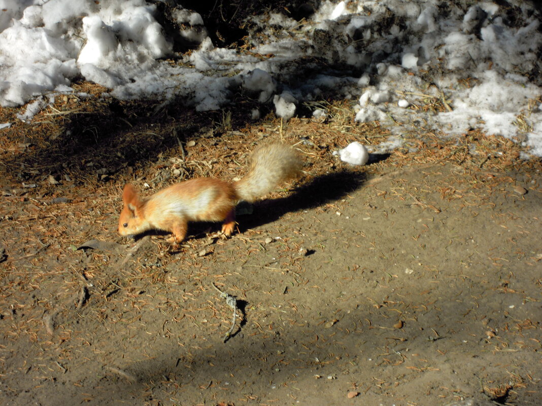 В парке - Андрей Л. В. В парке - Андрей Л. В.