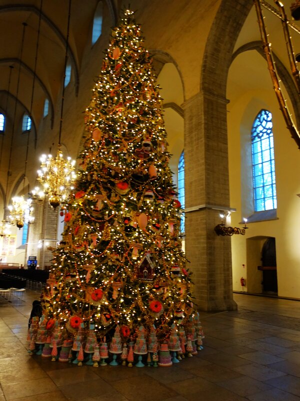 Новогодняя ель в Нигулисте - Aida10 Новогодняя ель в Нигулисте - Aida10