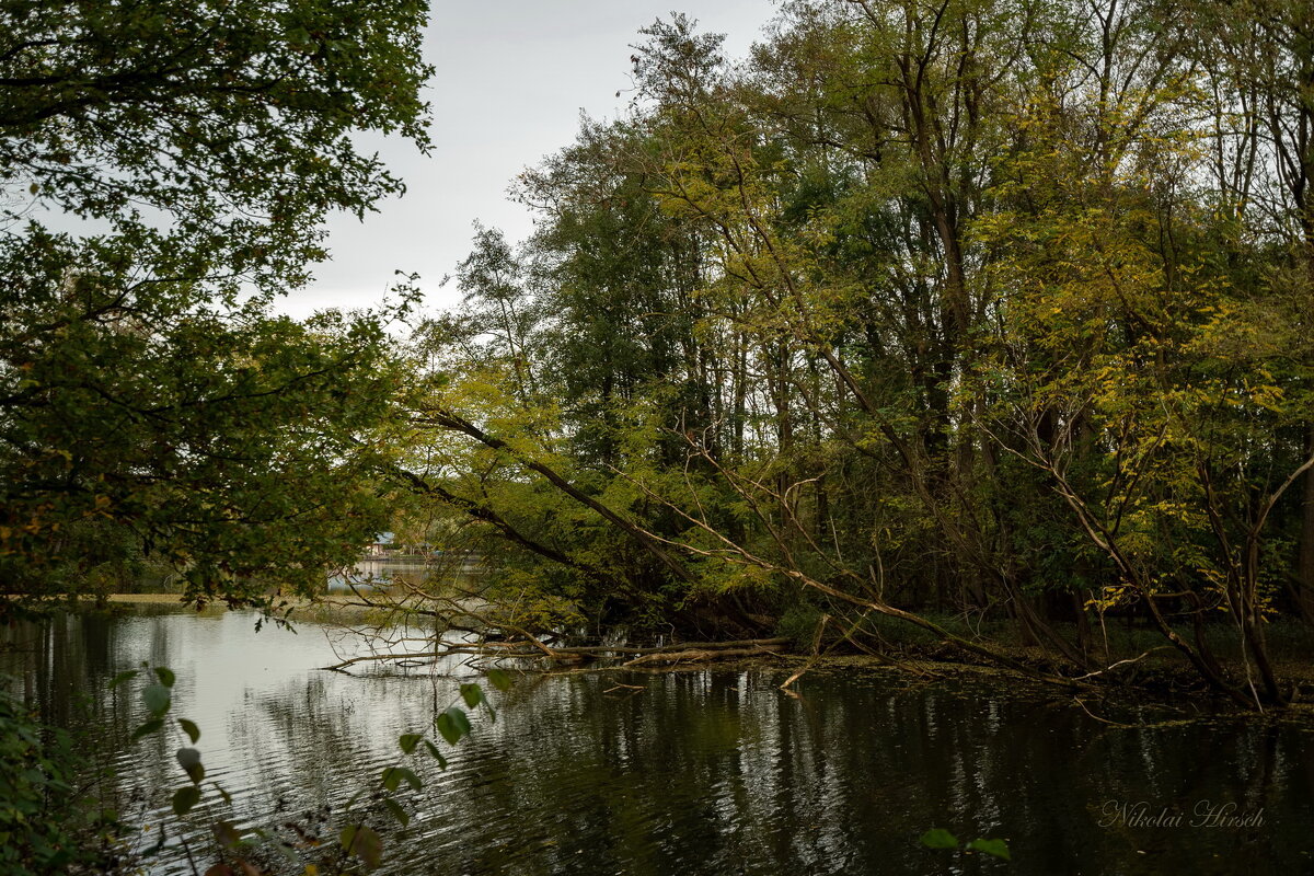 *** - Николай Гирш