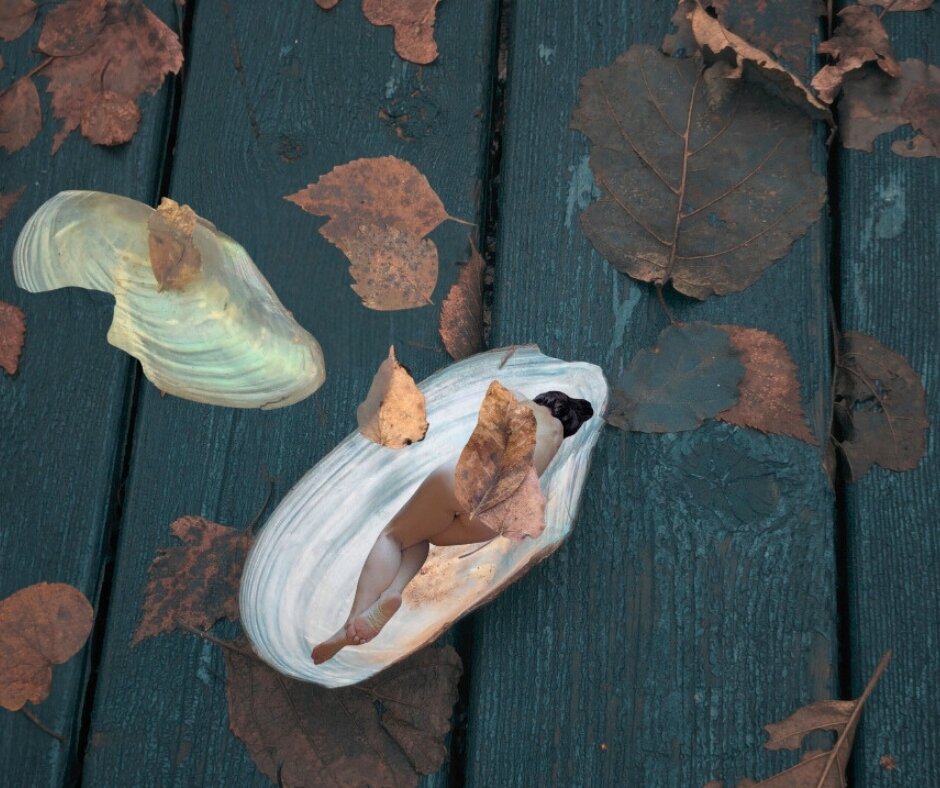 Возвращение - liudmila drake