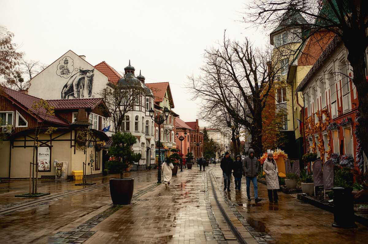 Зеленоградск - Лилия .