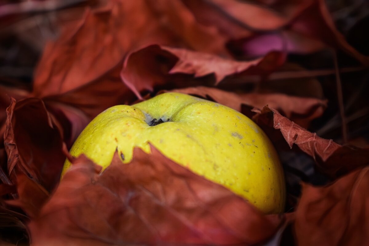 В объятьях осени - Оксана Н.