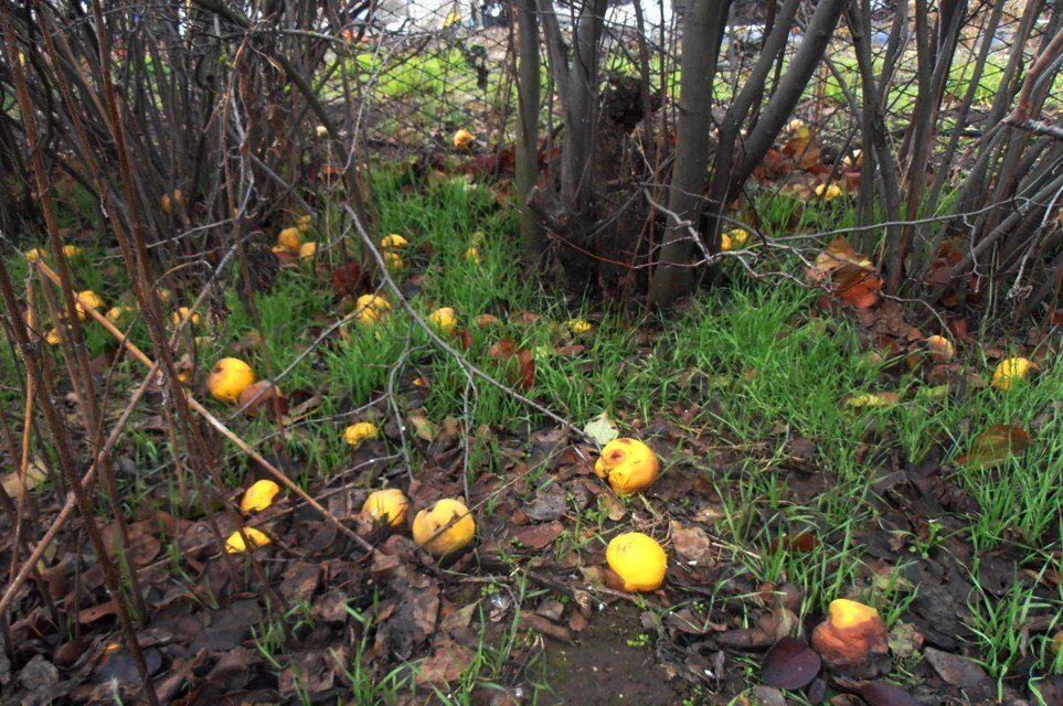 Вот такой декабрь - Наталья Вот такой декабрь - Наталья