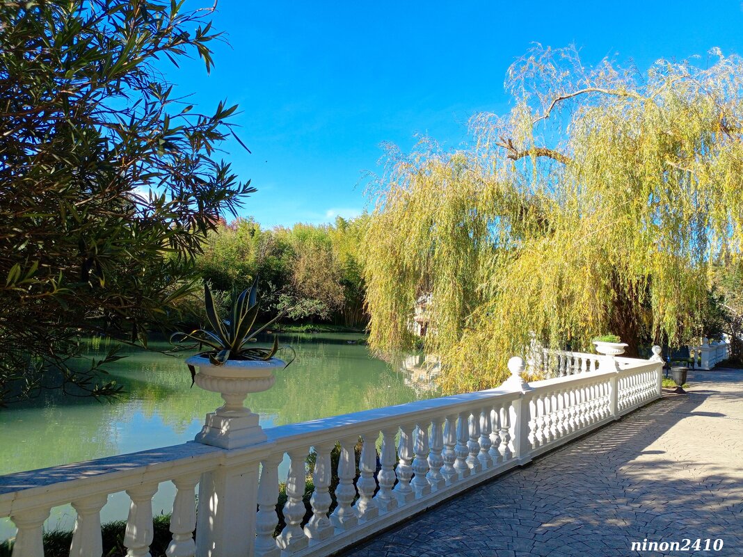 Адлер. Дендропарк "Южные культуры" - Нина Бутко Адлер. Дендропарк "Южные культуры" - Нина Бутко