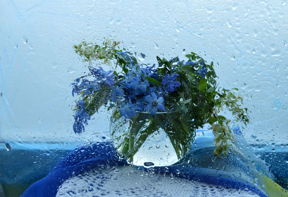 Пролески - Надежда Куркина Пролески - Надежда Куркина