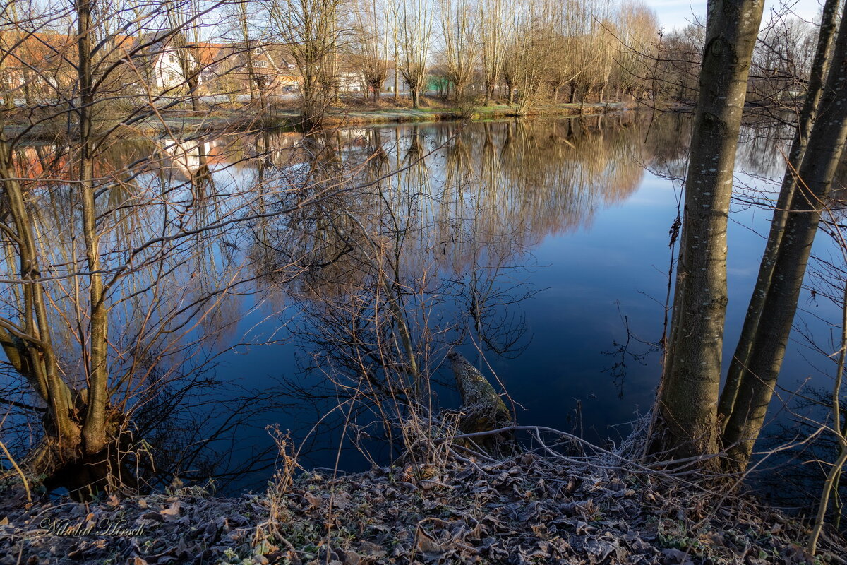 Январским утром... - Николай Гирш
