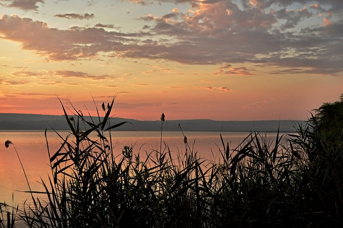 На небе розовый рассвет пробился между облаками... - Надежда Куркина На небе розовый рассвет пробился между облаками... - Надежда Куркина