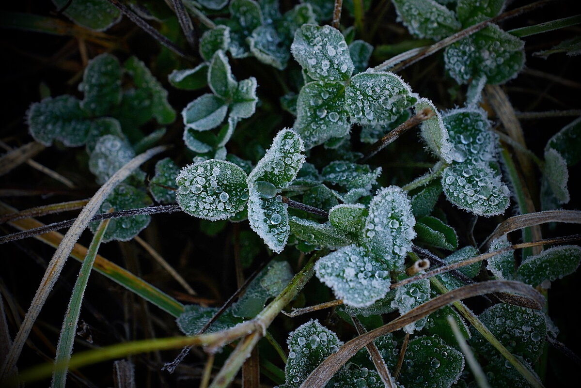 ...холодное утро... - Александр Герасенков ...холодное утро... - Александр Герасенков
