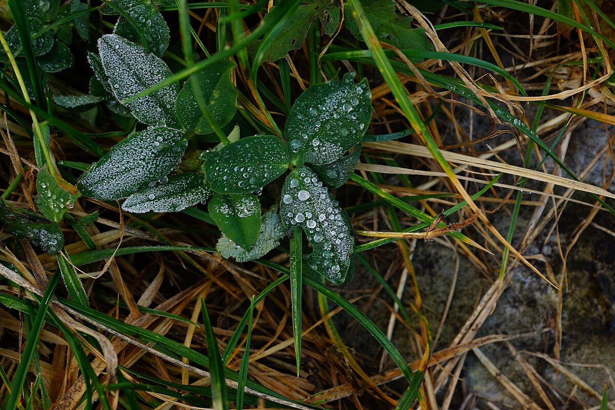 холодное утро(2) - Александр Герасенков холодное утро(2) - Александр Герасенков