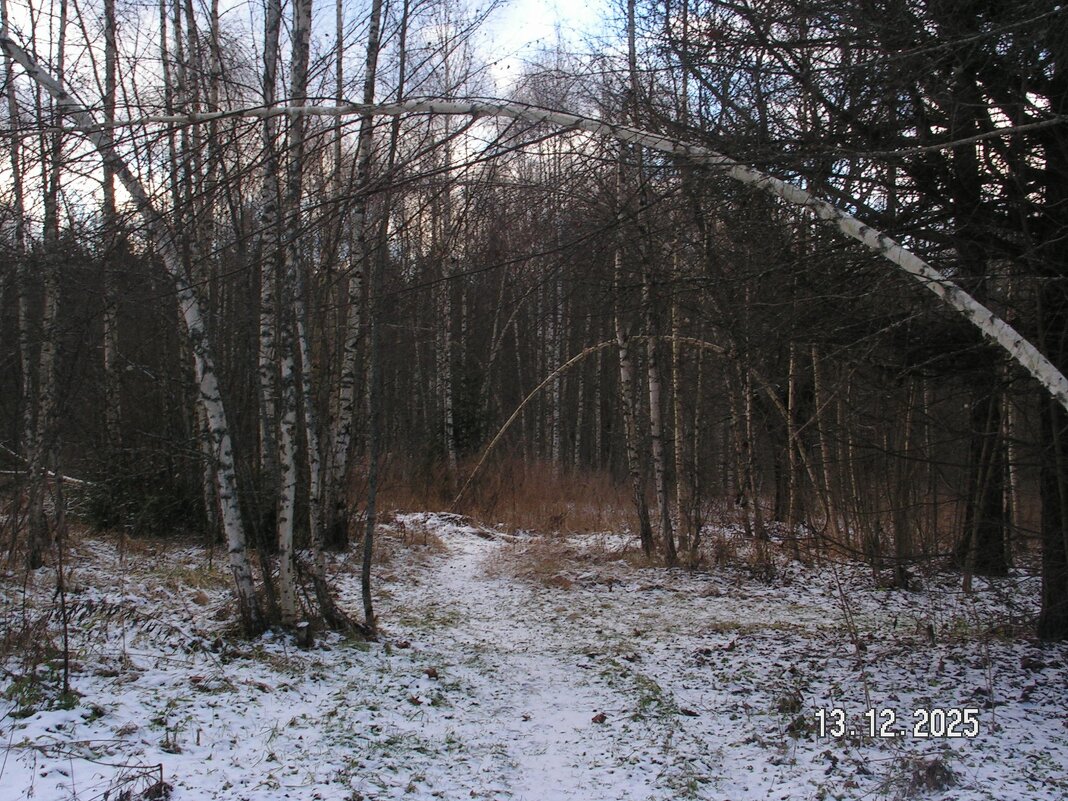 без названия - fogmeadowww m