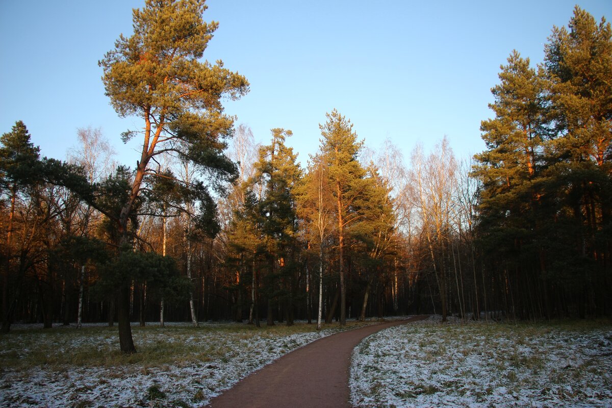 Парк Александрия - Наталья Герасимова Парк Александрия - Наталья Герасимова