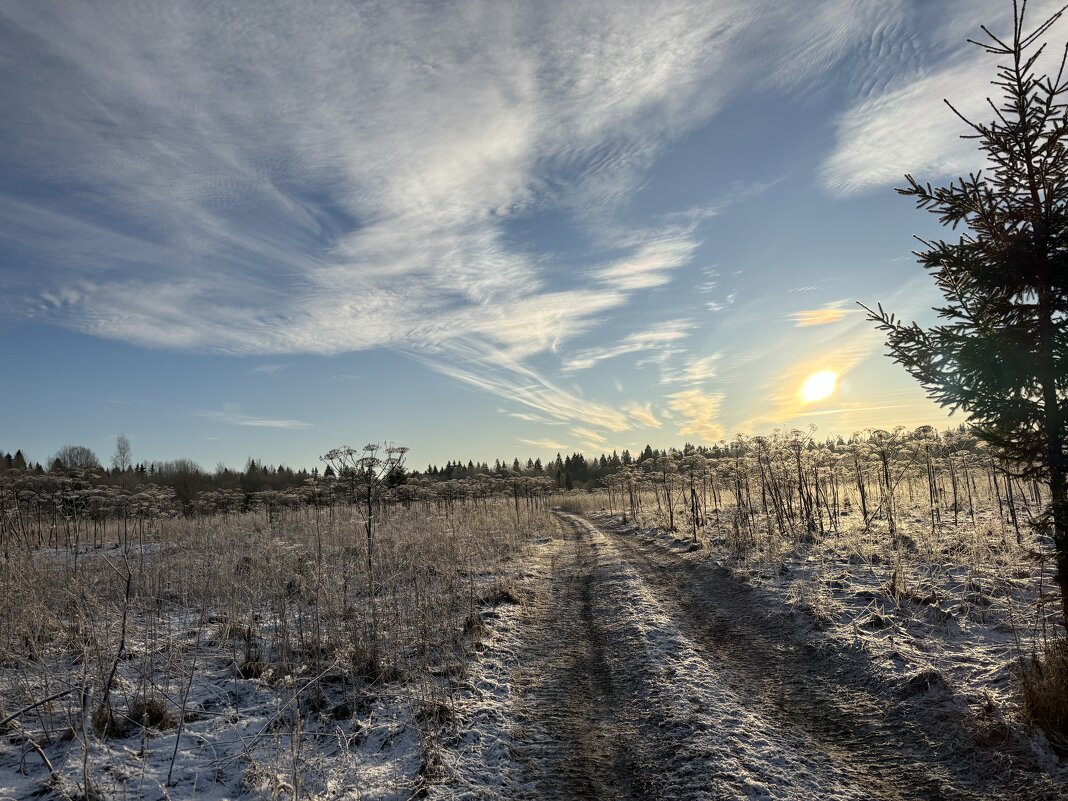 По полям, по полям… - Ольга Савельева 