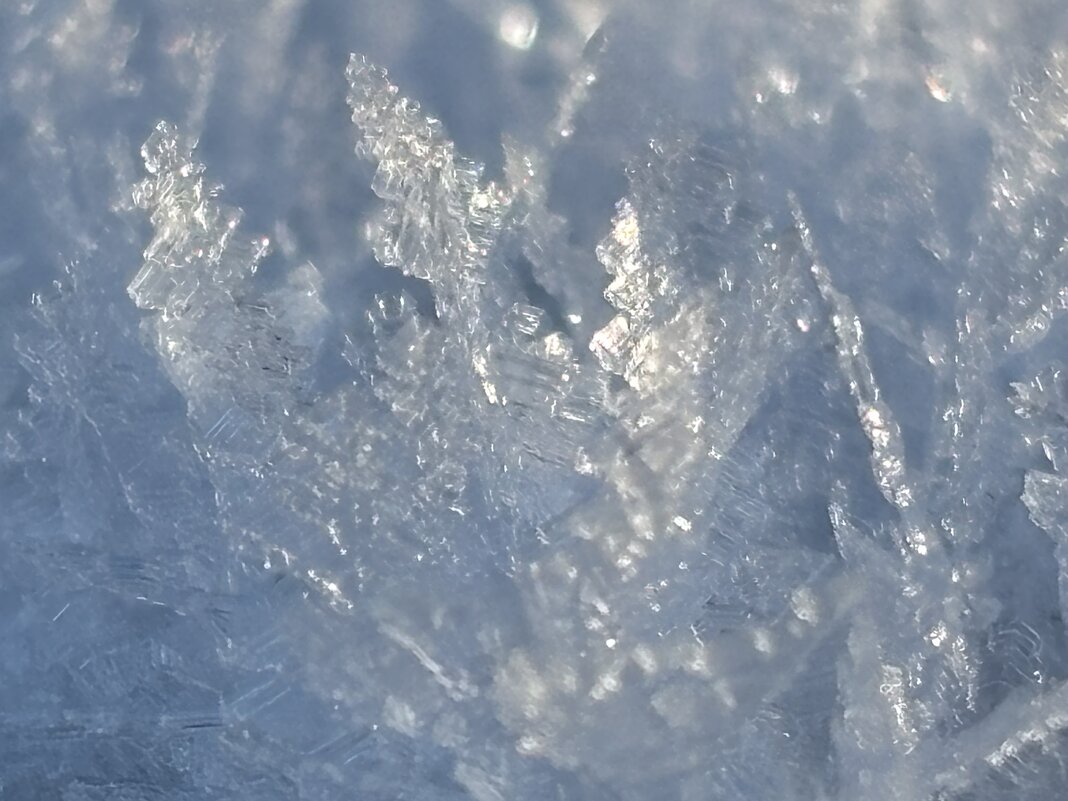 Мороз наколдовал - Ольга Савельева Мороз наколдовал - Ольга Савельева