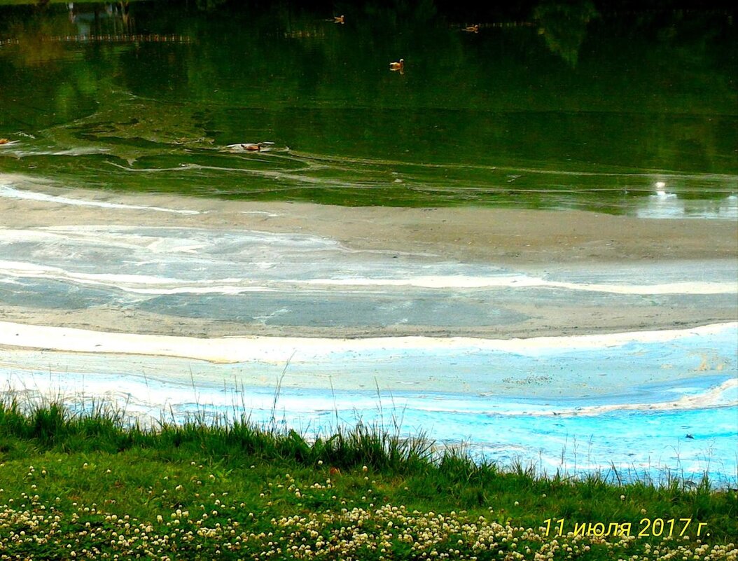 Кто то вылил краску в пруд - Натали 