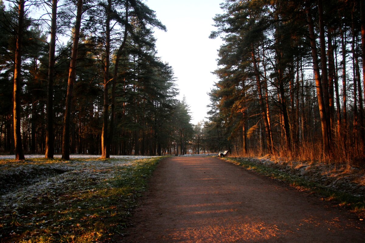 Парк Александрия - Наталья Герасимова Парк Александрия - Наталья Герасимова