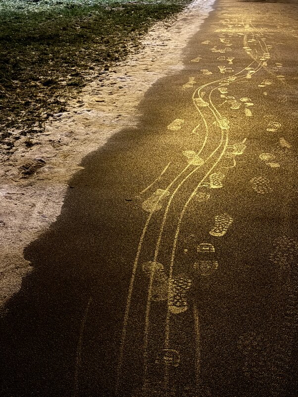 Наследили…) - Любовь Наследили…) - Любовь