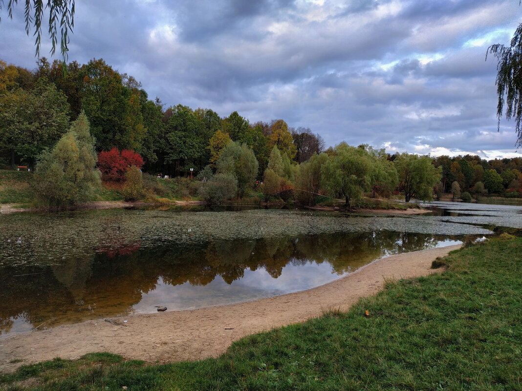 Один день в октябре-2023 в Лосином острове - Андрей Лукьянов Один день в октябре-2023 в Лосином острове - Андрей Лукьянов