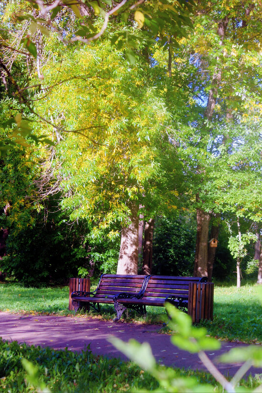 Летний парк - Сергей Кочнев